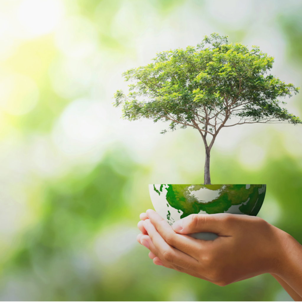 Eco Essentials Range